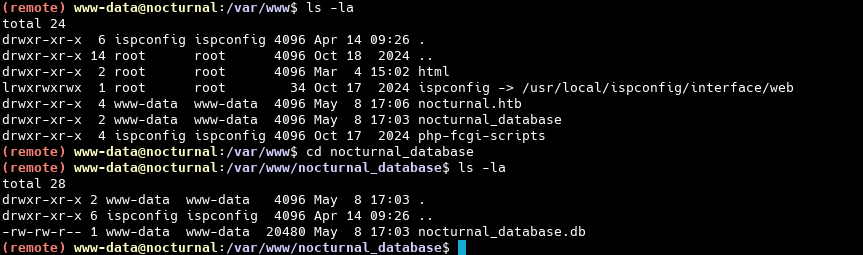 Содержимое каталога nocturnal_database