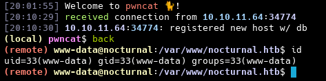 Сессия пользователя www-data