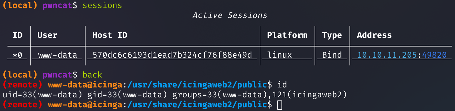 Сессия в pwncat-cs