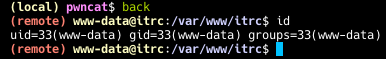 Сессия пользователя www-data